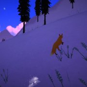 The First Tree - galeria zdjęć - filmweb
