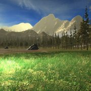The First Tree - galeria zdjęć - filmweb