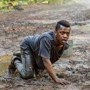 Van Helsing - galeria zdjęć - filmweb