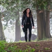 Van Helsing - galeria zdjęć - filmweb