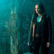 Van Helsing - galeria zdjęć - filmweb