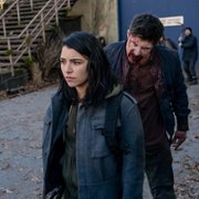 Van Helsing - galeria zdjęć - filmweb