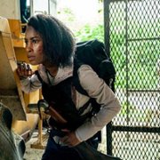 Van Helsing - galeria zdjęć - filmweb
