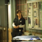 Marcia Gay Harden