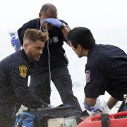 Code Black - galeria zdjęć - filmweb