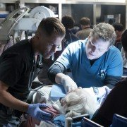 Code Black - galeria zdjęć - filmweb