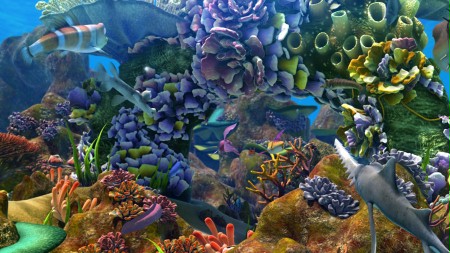 The Reef 2: High Tide - galeria zdjęć - filmweb