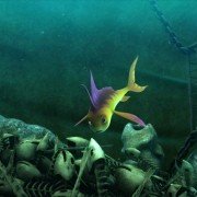 The Reef 2: High Tide - galeria zdjęć - filmweb