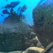 The Reef 2: High Tide - galeria zdjęć - filmweb