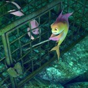 The Reef 2: High Tide - galeria zdjęć - filmweb