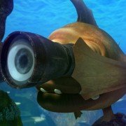 The Reef 2: High Tide - galeria zdjęć - filmweb