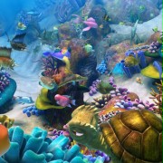 The Reef 2: High Tide - galeria zdjęć - filmweb
