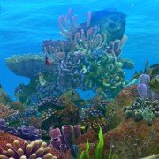 The Reef 2: High Tide - galeria zdjęć - filmweb