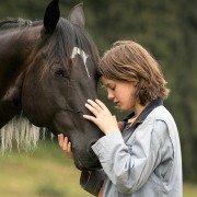 Ostwind - Aris Ankunft - galeria zdjęć - filmweb
