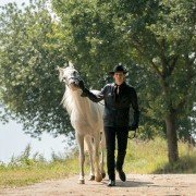 Ostwind - Aris Ankunft - galeria zdjęć - filmweb