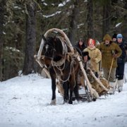 Pereval Dyatlova - galeria zdjęć - filmweb