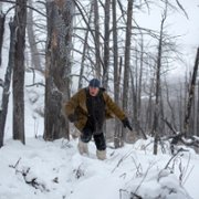 Pereval Dyatlova - galeria zdjęć - filmweb