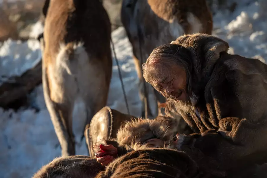 Martwa g&oacute;ra. Tragedia na przełęczy Diatłowa - galeria zdjęć - filmweb