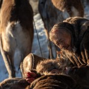 Pereval Dyatlova - galeria zdjęć - filmweb
