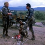Nietoperze - galeria zdjęć - filmweb