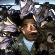 Nietoperze - galeria zdjęć - filmweb