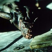 Bats - galeria zdjęć - filmweb