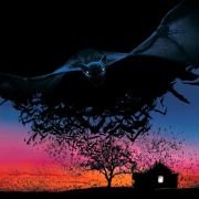 Bats - galeria zdjęć - filmweb