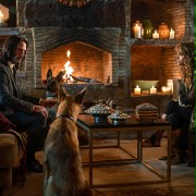 John Wick 3 - galeria zdjęć - filmweb