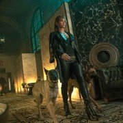 John Wick 3 - galeria zdjęć - filmweb