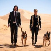 John Wick 3 - galeria zdjęć - filmweb