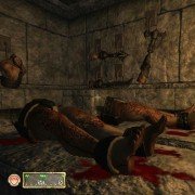 The Elder Scrolls IV: Shivering Isles - galeria zdjęć - filmweb