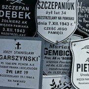 Z dala od orkiestry - galeria zdjęć - filmweb