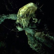 The Woods - galeria zdjęć - filmweb