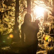 Z lasu - galeria zdjęć - filmweb