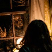 Z lasu - galeria zdjęć - filmweb