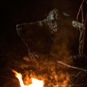 The Woods - galeria zdjęć - filmweb