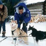 Śnieżne psy - galeria zdjęć - filmweb