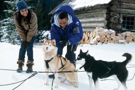 Śnieżne psy - galeria zdjęć - filmweb
