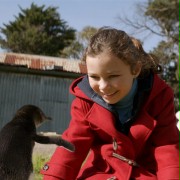 Szajbus i pingwiny - galeria zdjęć - filmweb