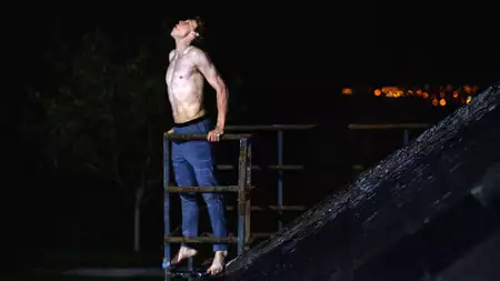 Wilk - galeria zdjęć - filmweb