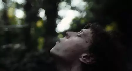 Wilk - galeria zdjęć - filmweb