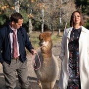 Kasa - galeria zdjęć - filmweb