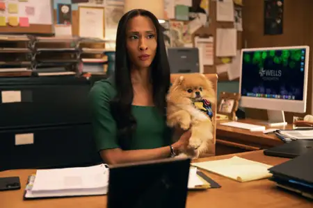 Kasa - galeria zdjęć - filmweb