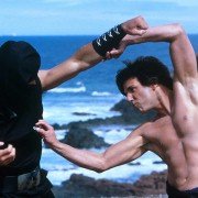 Kung Pow: Wejście wybrańca - galeria zdjęć - filmweb