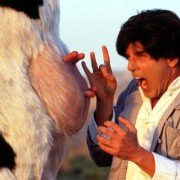 Kung Pow: Wejście wybrańca - galeria zdjęć - filmweb