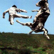 Kung Pow: Enter the Fist - galeria zdjęć - filmweb