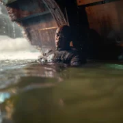 R&oacute;d smoka - galeria zdjęć - filmweb