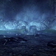 Oakwood - galeria zdjęć - filmweb