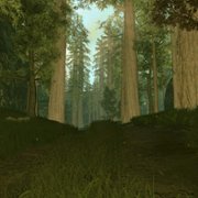 Oakwood - galeria zdjęć - filmweb