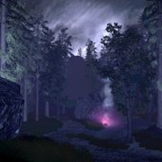 Oakwood - galeria zdjęć - filmweb